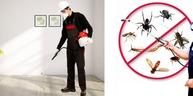 شركة مكافحة حشرات في الشارقة 0544214749 مكافحة الحشرات